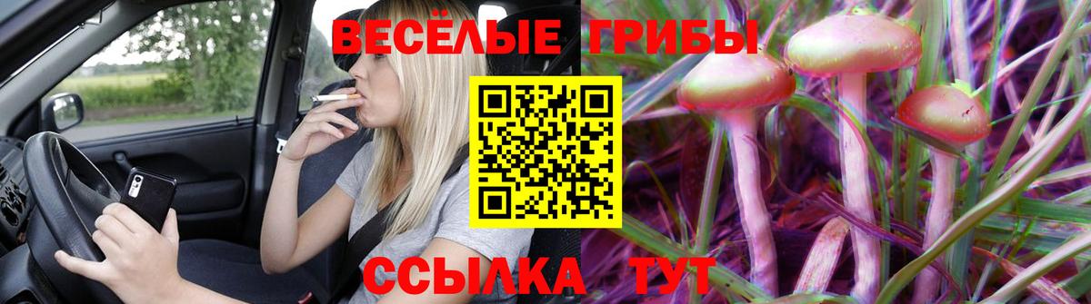 Галлюциногенные грибы GOLDEN TEACHER  Вход с VPN  где купить наркоту  Мурино 