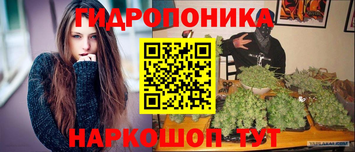 Канабис AK-47 Мурино